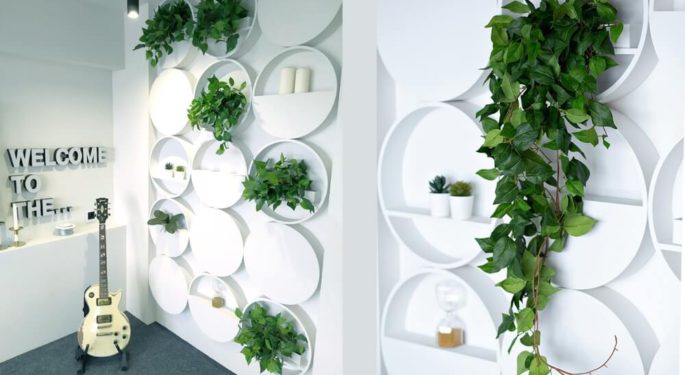 Растения в современном дизайне интерьера