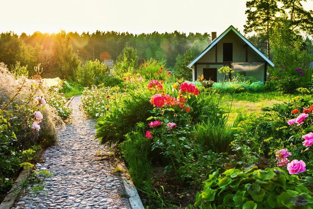 Общие советы для желающих приобрести свой сад-огород