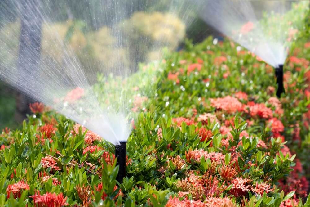 Использование дыма и воды для спасения сада от заморозков