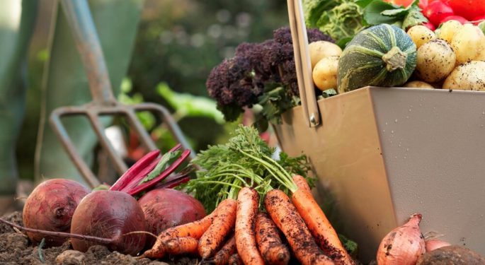 Секреты правильной уборки овощей