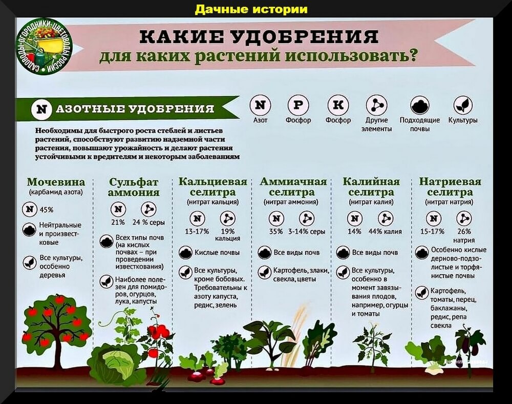 Как выбрать подходящие удобрения для разных видов растений